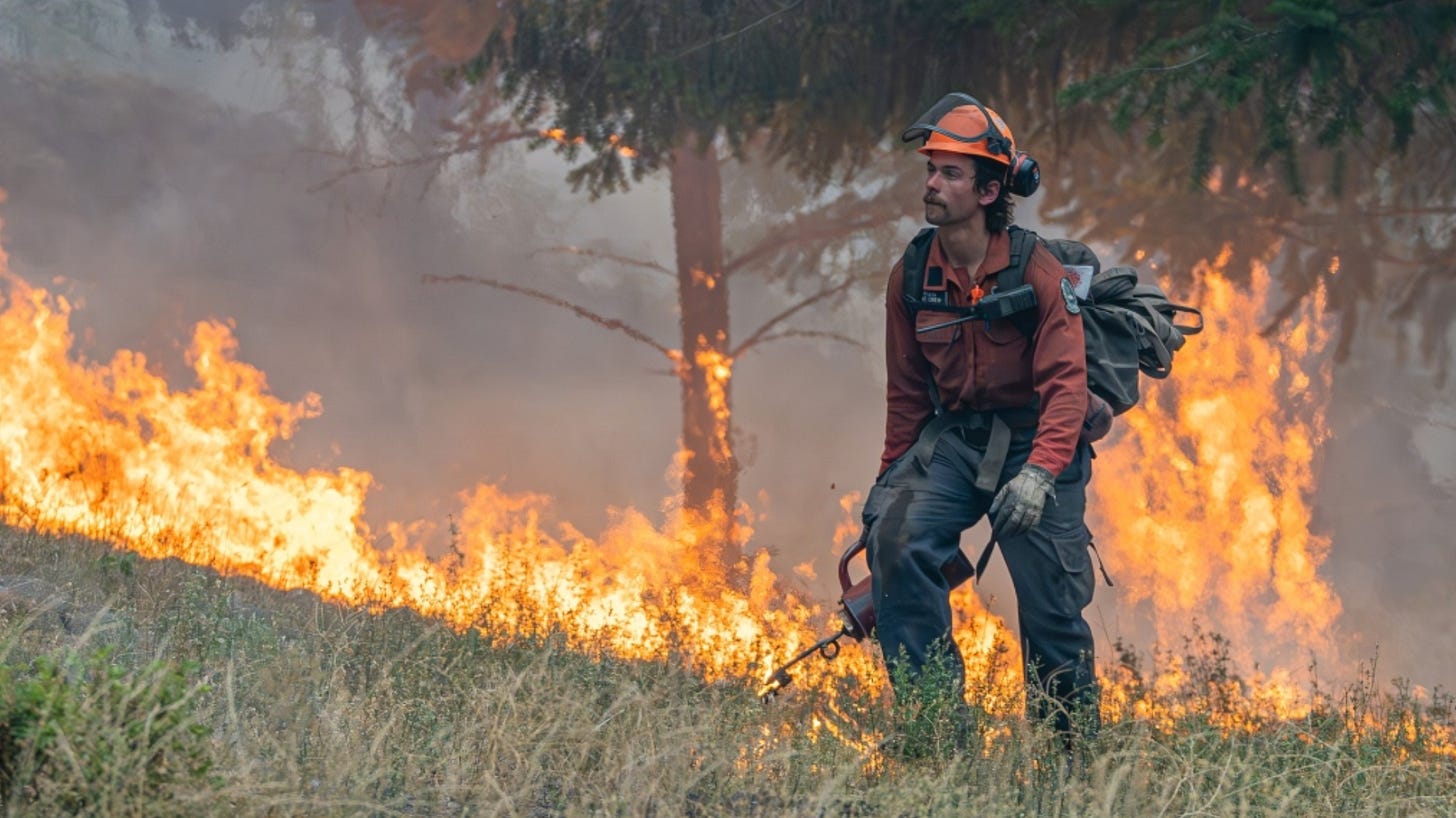 A firefighter performs small hand ignitions on the 2023 McDougall Creek wildfire near West Kelowna. (Image courtesy BC Wildfire Service) A firefighter performs small hand ignitions on the 2023 McDougall Creek wildfire near West Kelowna. (Image courtesy BC Wildfire Service)