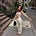 Rachel Seideman's avatar