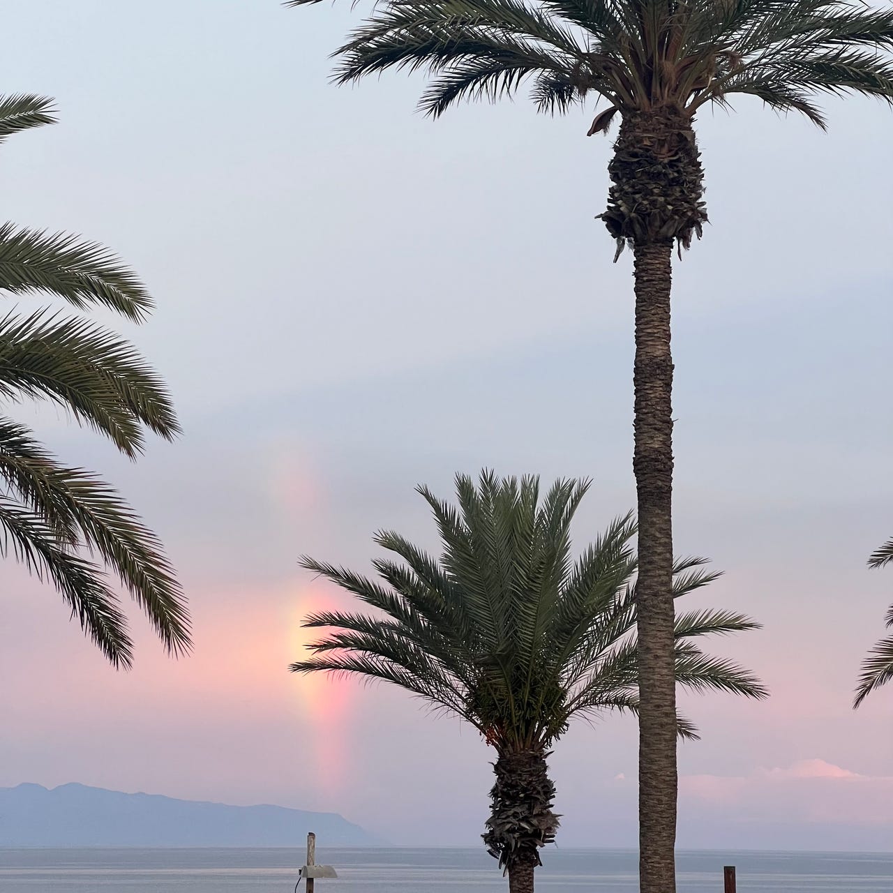 One Voice, One Witness