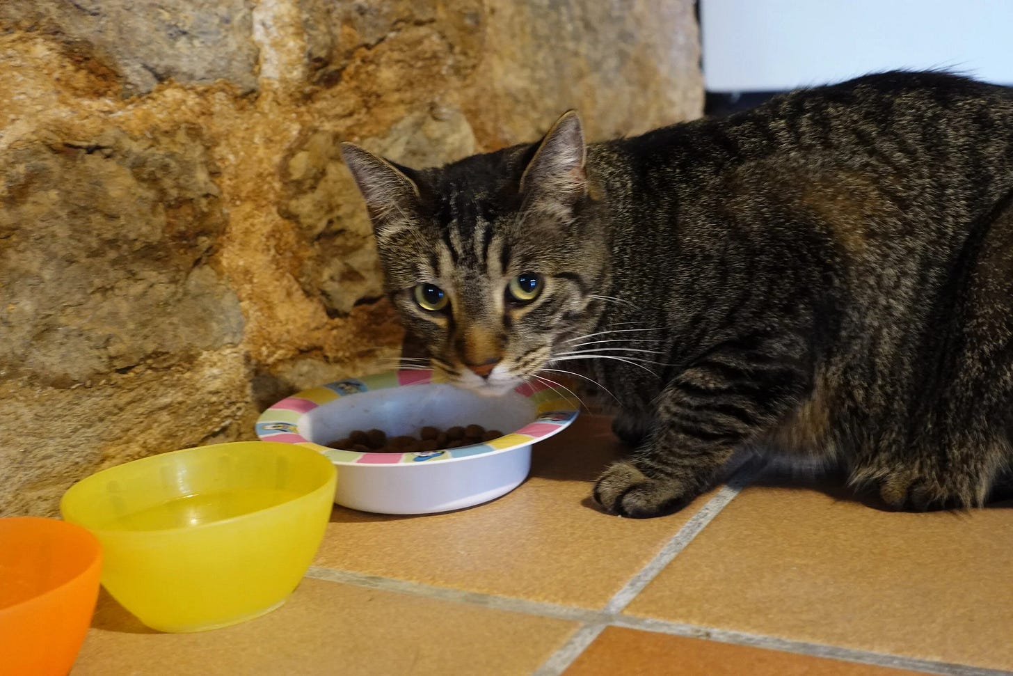  My silly billy! Always eating <3  