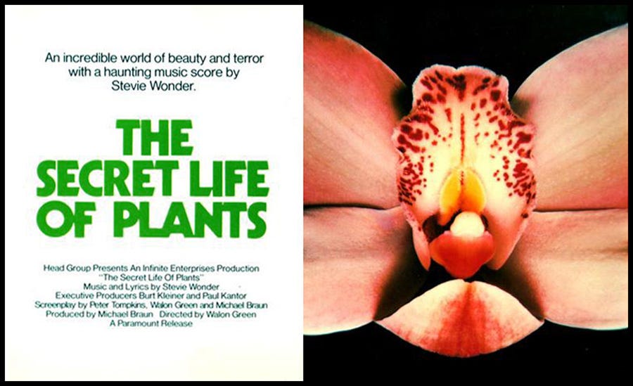 The Secret Life of Plants (1978) - IMDb