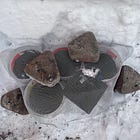 Pourquoi je dissémine des plantes indigènes