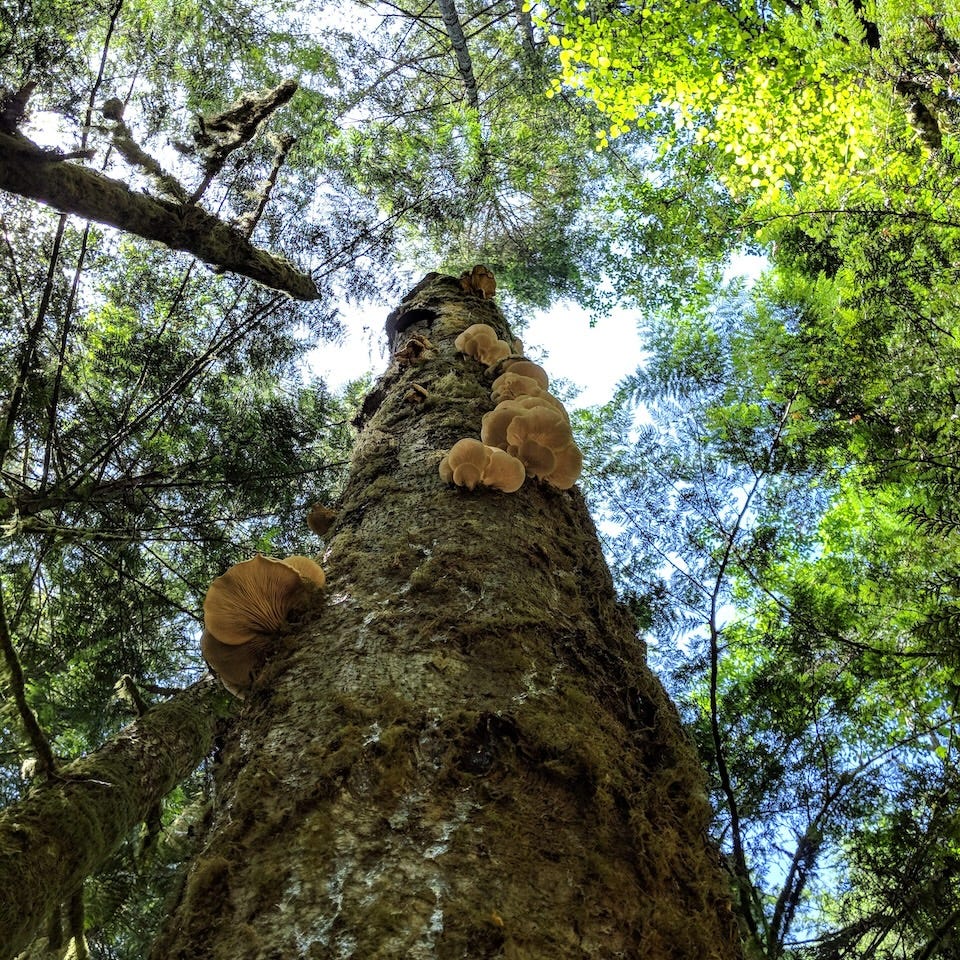 on living & learning