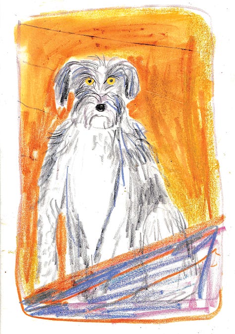 three artists draw the same dog