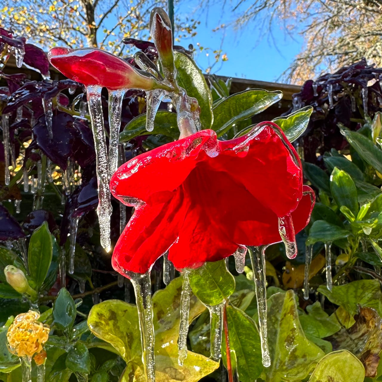 Tasteful Suburbanite Teen