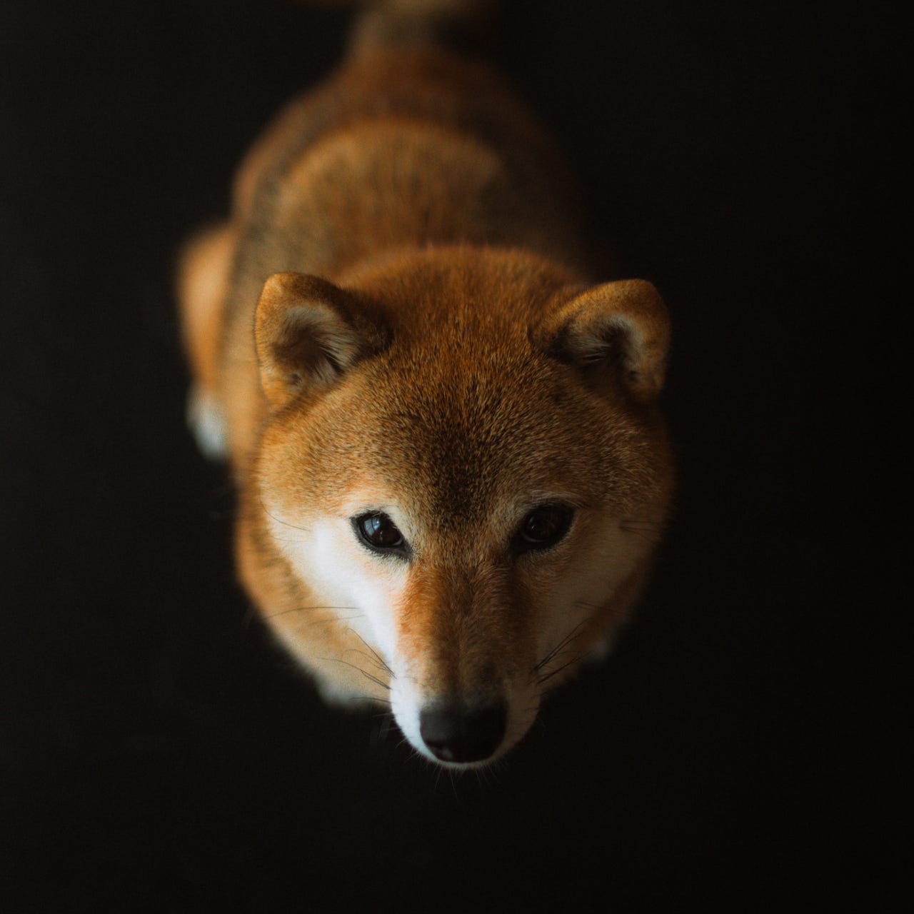 写真家のノート