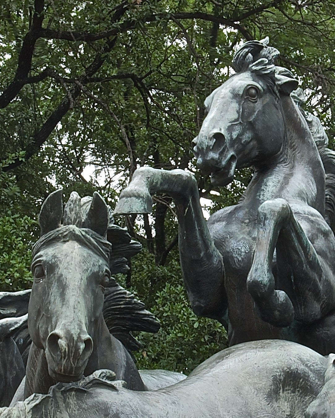 A close-up of a statue of a horse

AI-generated content may be incorrect.