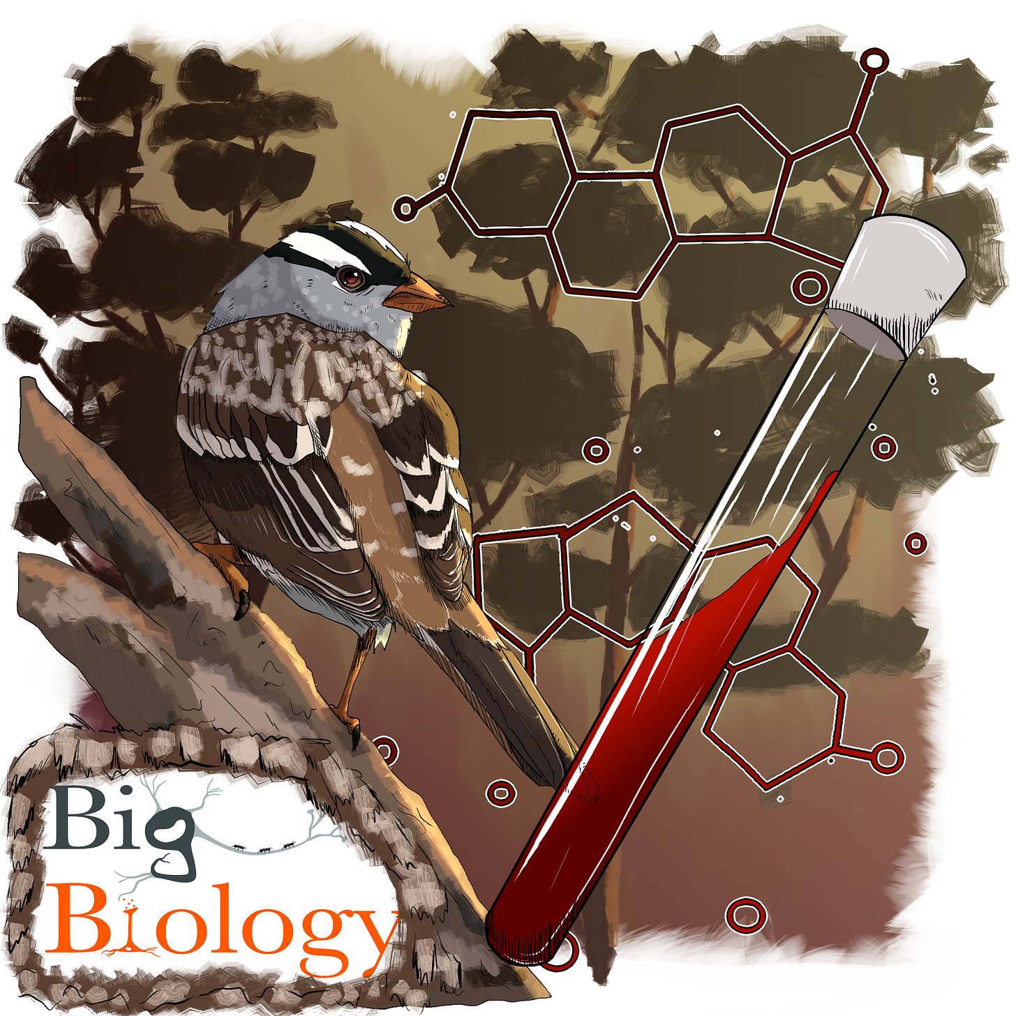 Cover image with a drawing of a white crowned sparrow, vial of blood, and hormone chemical symbol
