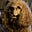 Susan Israel's avatar