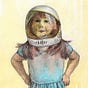 AnneMarie Welsh's avatar