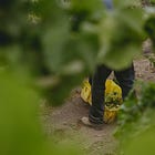 Read it Like You're Not You