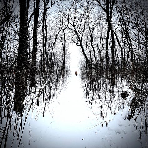 Images of Jordy through the last decade