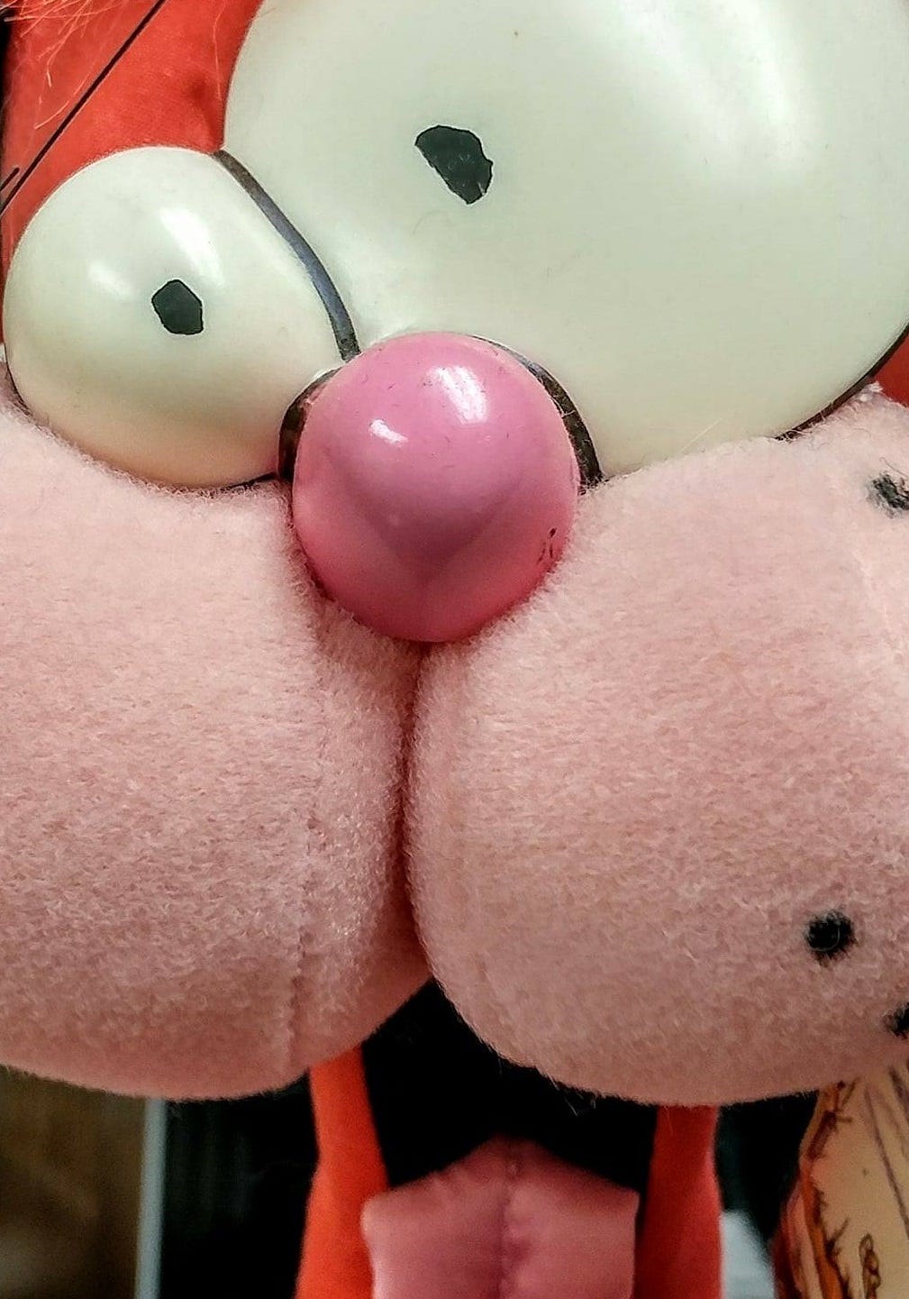 Buckeye in the South