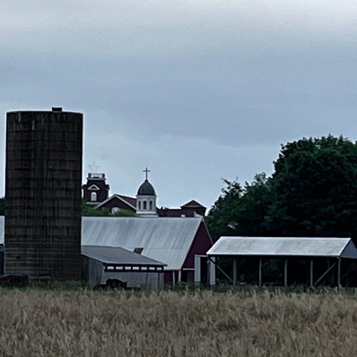 a herd of cows in a pasture; a barn and silo with church behind