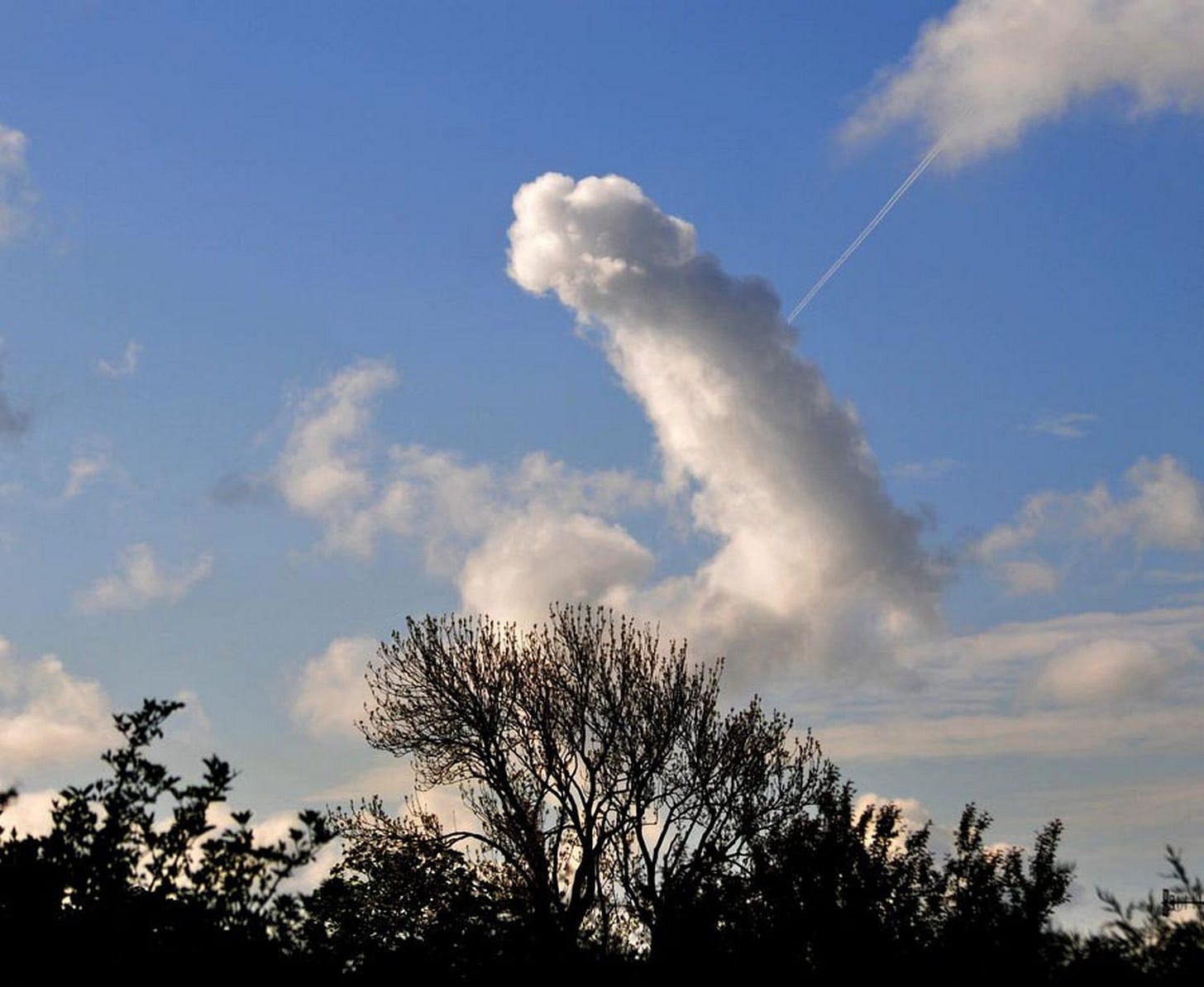 Cloud with obvious form