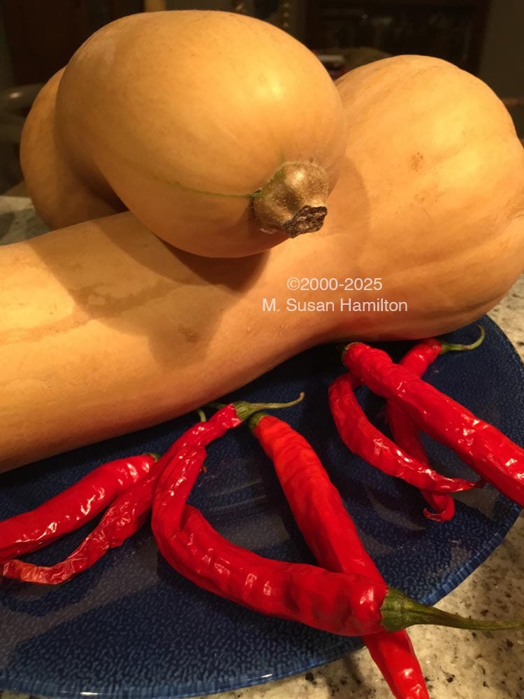 Butternut Squash + Cayenne Peppers, Hutchins Organic Farm, Concord, Massachusetts