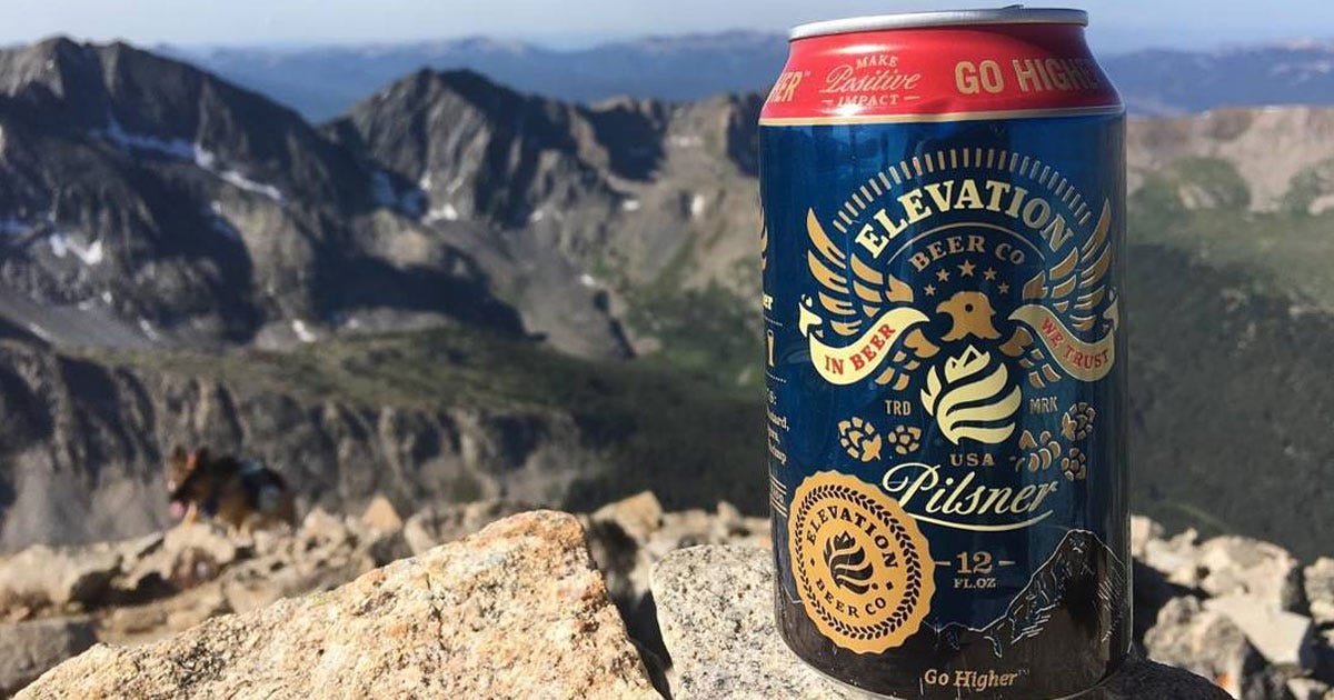 Image result for elevation pilsner
