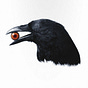 سدن's avatar