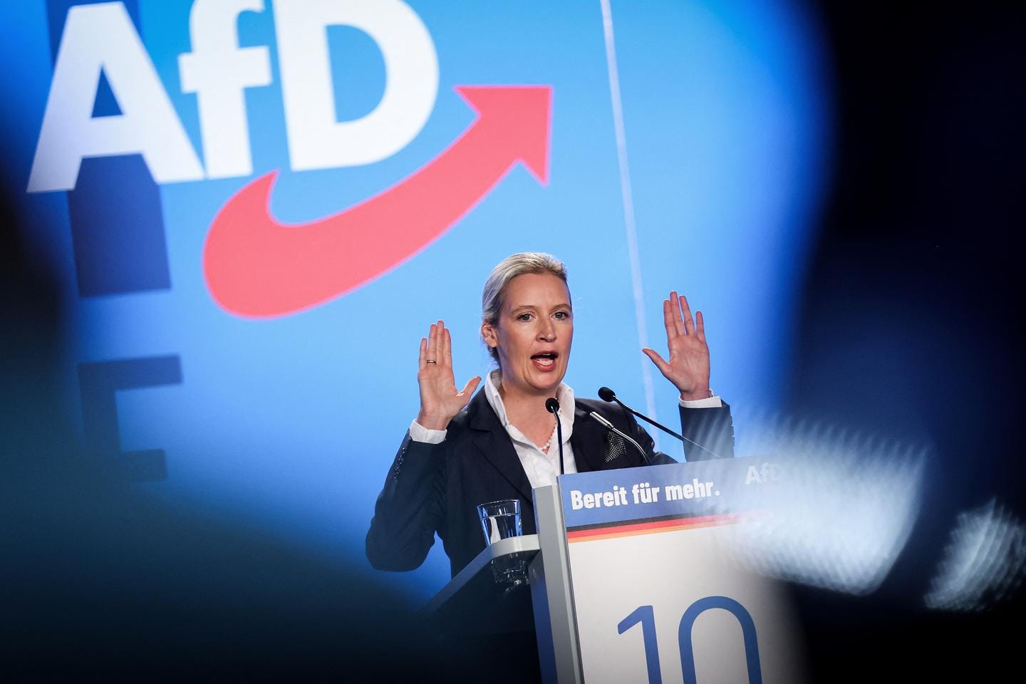 German far-right party leaders planned mass deportation laws with neo-Nazis German far-right party leaders planned mass deportation laws with neo-Nazis