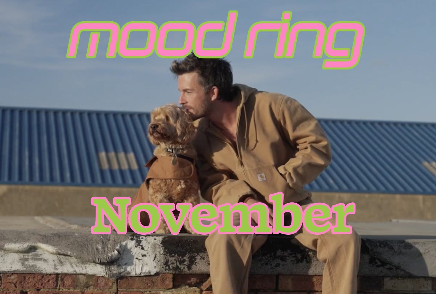 Jonathan Bailey and his dog sit on a wall