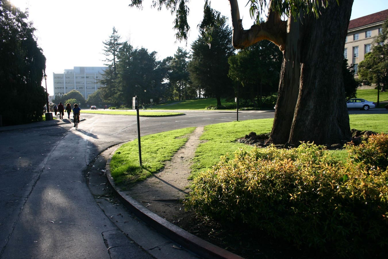 Desire Lines: The Unofficial Pedestrian Paths That Shape The City