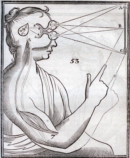 Descartes' 'Treatise of Man' – Becker Medical Library