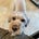 The Lubke Family's avatar