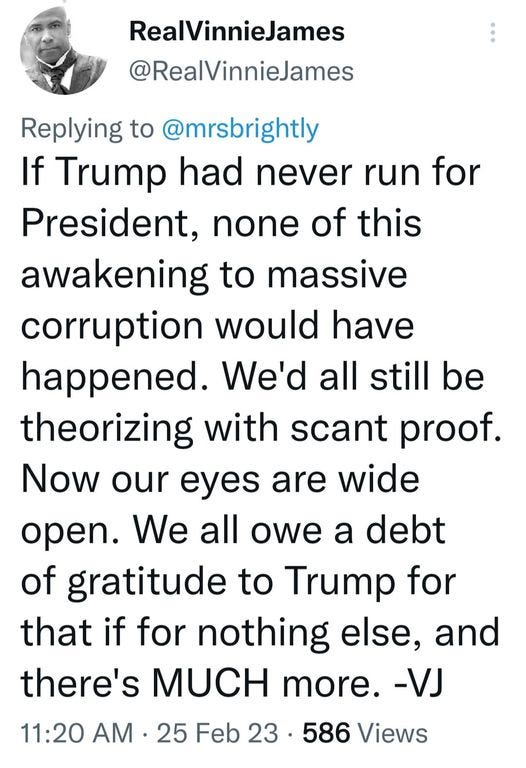 May be a Twitter screenshot of 1 person and text that says 'RealVinnieJames @RealVinnieJames Replying to @mrsbrightly If Trump had never run for President, none of this awakening to massive corruption would have happened. We'd all still be theorizing with scant proof. Now our eyes are wide open. We all owe a debt of gratitude to Trump Ûor that if for nothing else, and there's MUCH more. -VJ 11:20 AM 25 25 Feb 23. 586 Views'