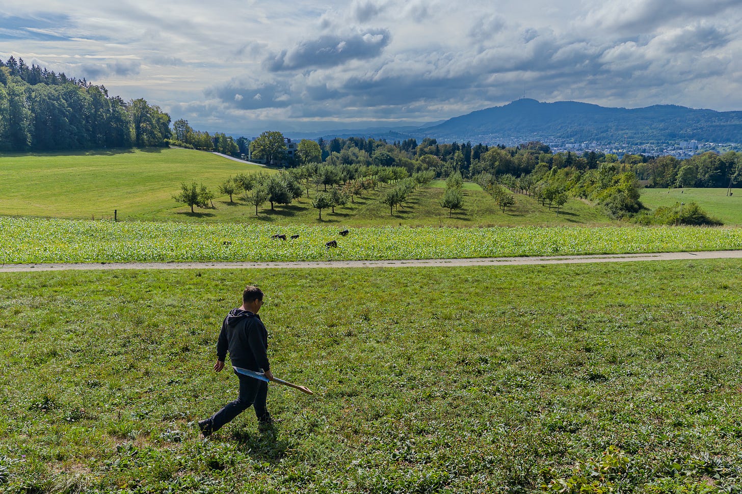 Landwirt Armon Fliri geht mit einem Pflanzspaten in der Hand über eine extensiv bewirtschaftete Wiese am Sonnenberg. Dahinter liegen ein Acker mit Gründüngung und eine Wiese mit Hochstamm-Obstbäumen. Im Hintergrund erstrecken sich die Stadt Zürich und der bewaldete Uetliberg unter einem wolkenreichen Himmel. Landwirt Armon Fliri geht mit einem Pflanzspaten in der Hand über eine extensiv bewirtschaftete Wiese am Sonnenberg. Dahinter liegen ein Acker mit Gründüngung und eine Wiese mit Hochstamm-Obstbäumen. Im Hintergrund erstrecken sich die Stadt Zürich und der bewaldete Uetliberg unter einem wolkenreichen Himmel.