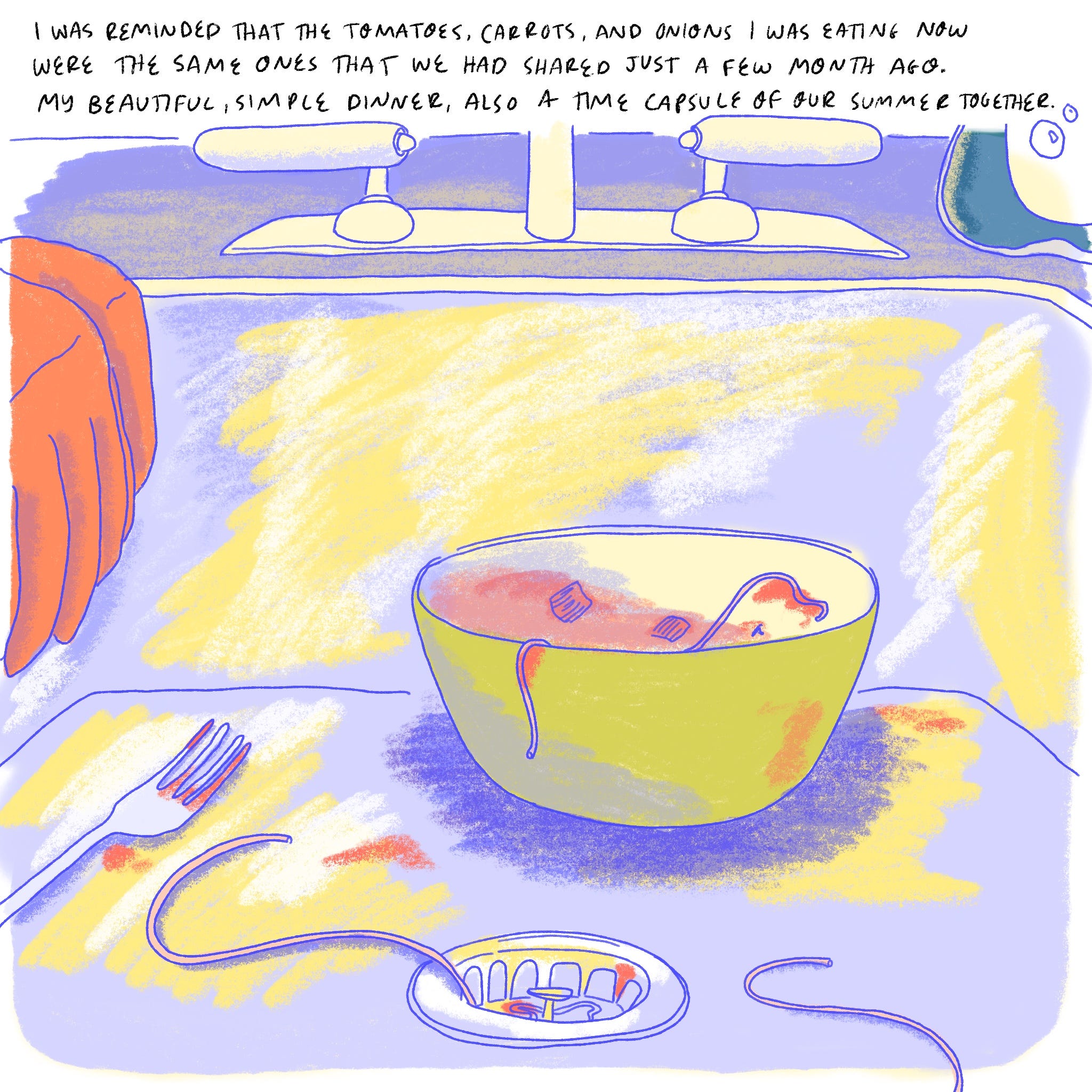 NARRATOR: “I was reminded that the tomatoes, carrots, and onions I was eating now were the same ones that we had shared just a few months ago. My beautiful, simple dinner, also a time capsule of our summer together.”   An empty dish sits in the kitchen sink. 