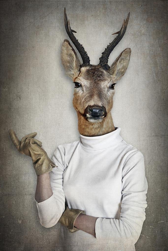 Amazon.com: Deer Head Wearing Human Clothes Funny Parody Animal Face  Portrait Art Photo Cool Wall Art Print Poster 16x24: Posters & Prints