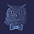 Bowtied Owl’s Substack