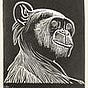 Hello Mr. Bobbi Bonobo's avatar