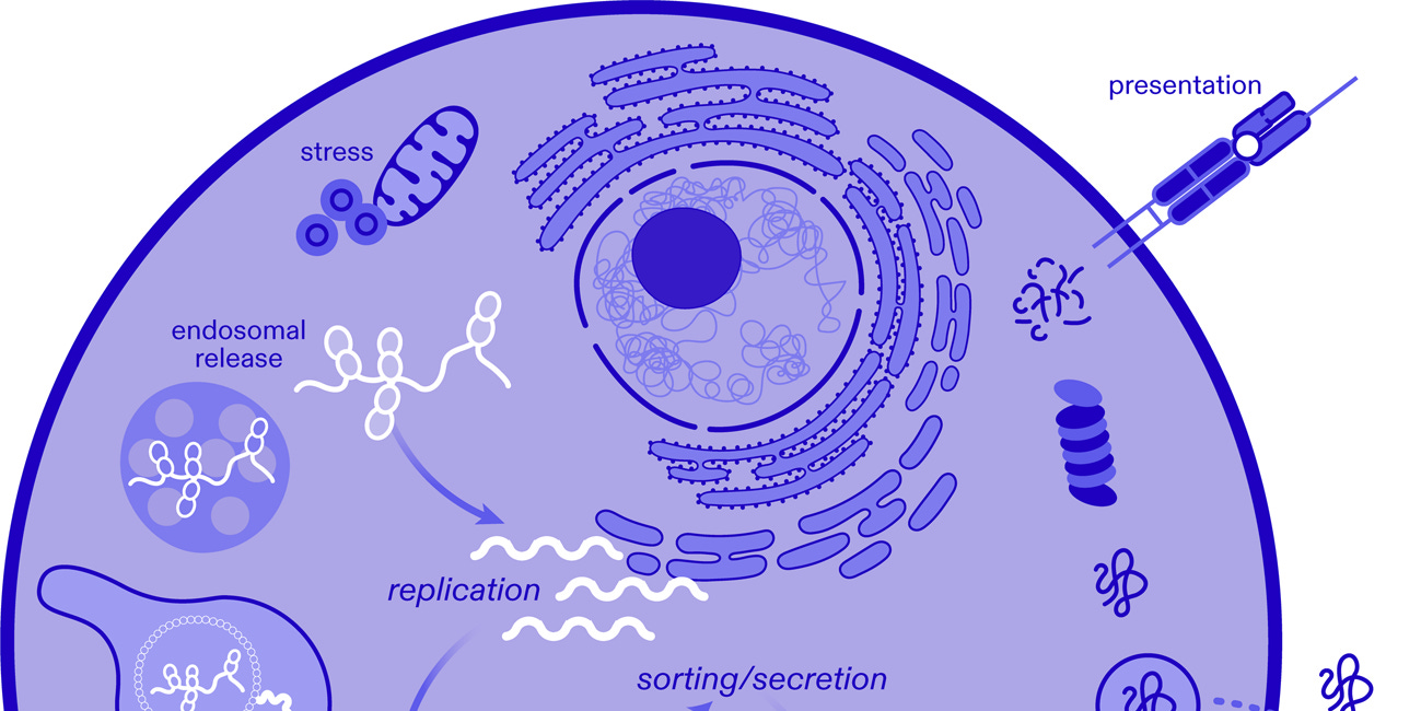 UPDATE: All Vaccines Will Kill You & FDA Fast Tracks Self-Amplifying mRNA Injections