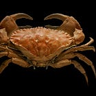 Cancer as a Data Problem: What AI Is Doing in Oncology