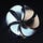 X avatar for @therollupco