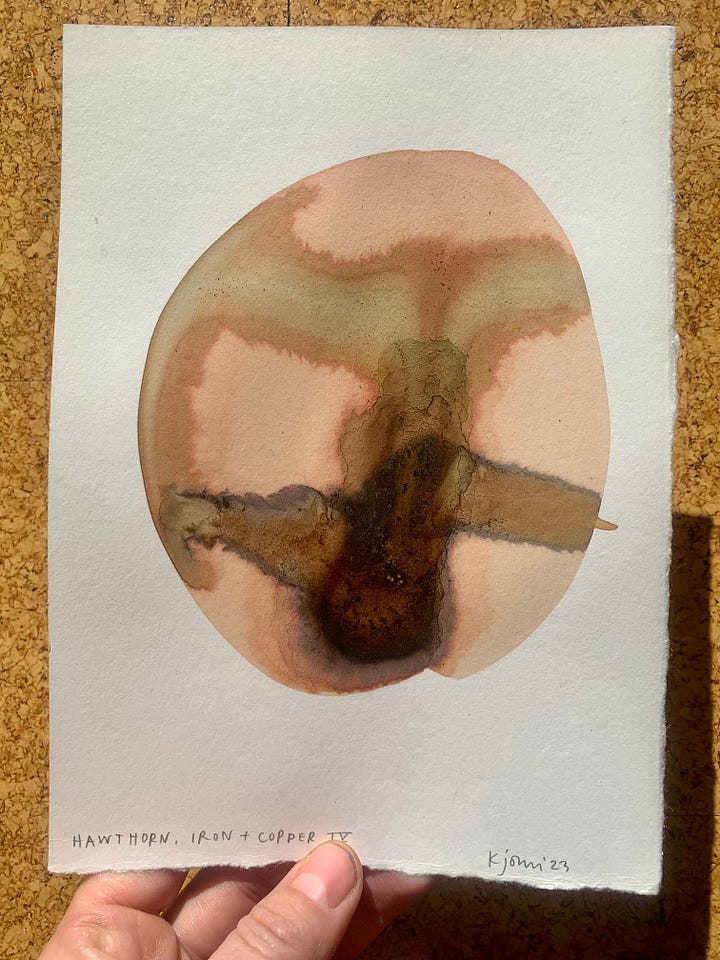 Original inkwork on paper. Hawthorn with iron rust and copper pipe.
