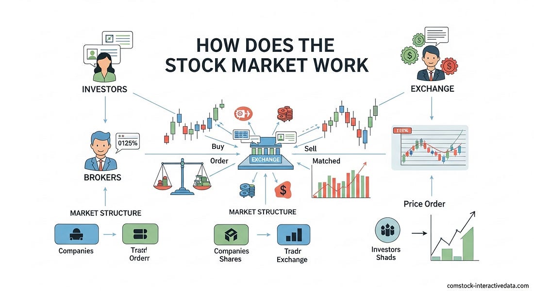 How Does the Stock Market Work (August 2026) A Beginner's Guide