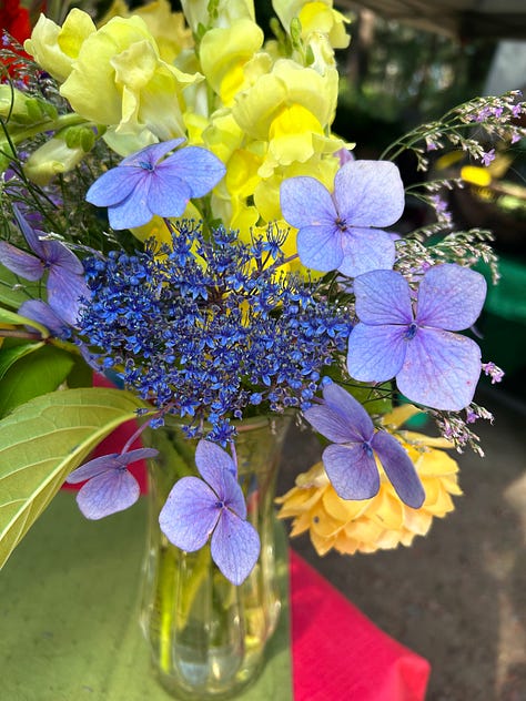 colorful flowers