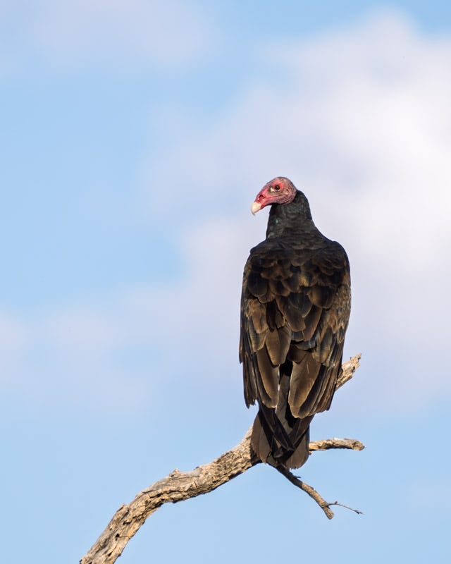 20250906-Manville-299-Edit.jpg 20250906-Manville-299-Edit.jpg