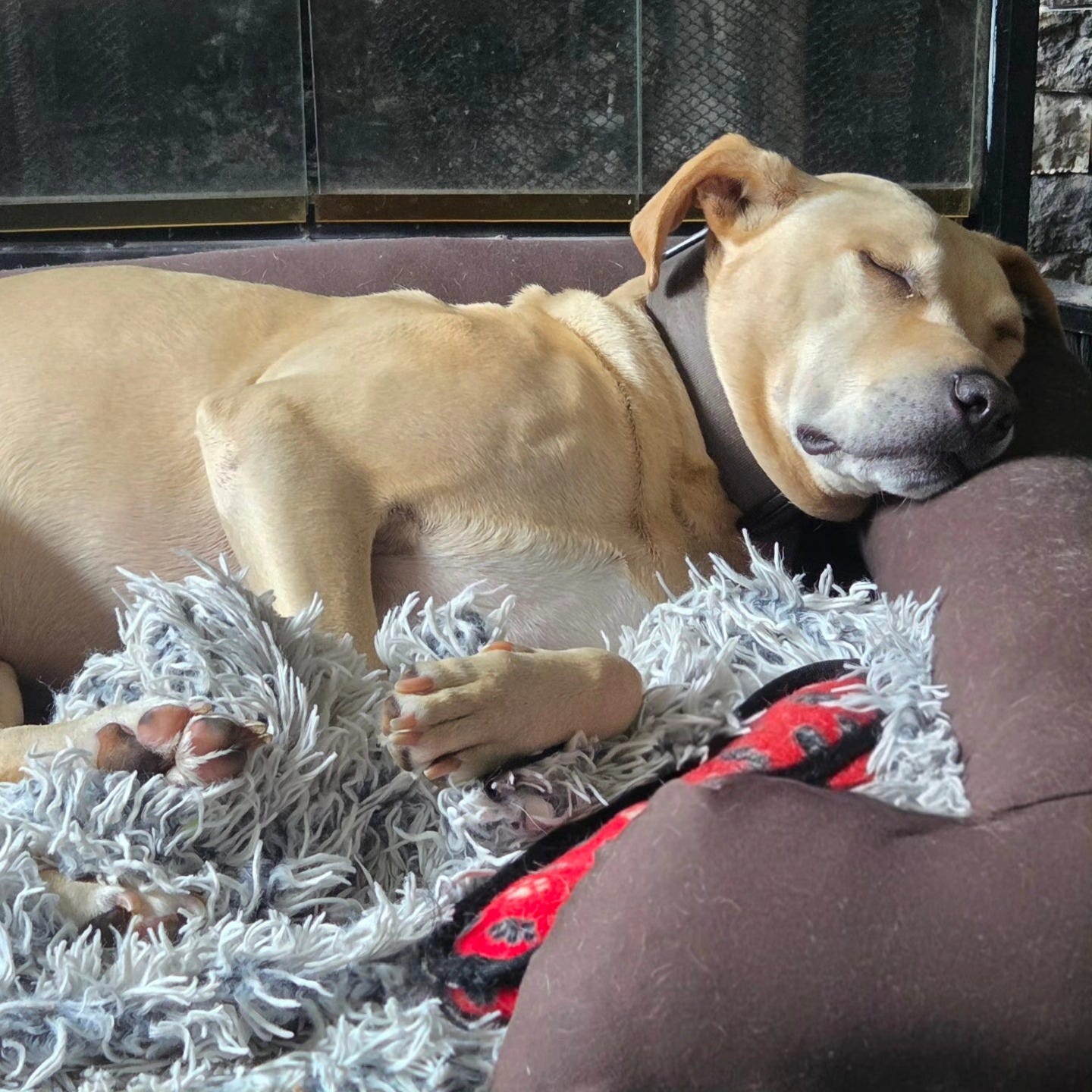 No photo description available.