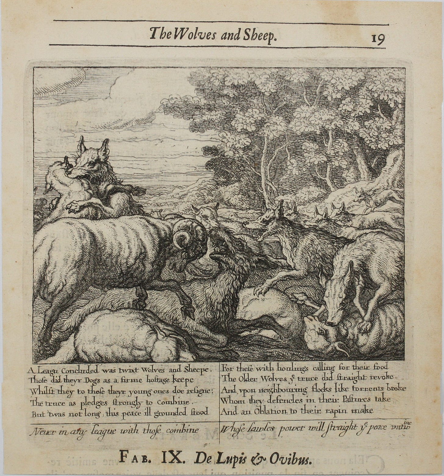 Francis Barlow. IX. The Wolves and Sheep. From Aesop's Fables. Etching - Goldin Fine Art Francis Barlow. IX. The Wolves and Sheep. From Aesop's Fables. Etching - Goldin Fine Art