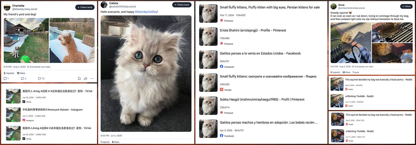 screenshots of several photo posts from accounts in the network, and reverse image searches showing that the photos are plagiarized screenshots of several photo posts from accounts in the network, and reverse image searches showing that the photos are plagiarized