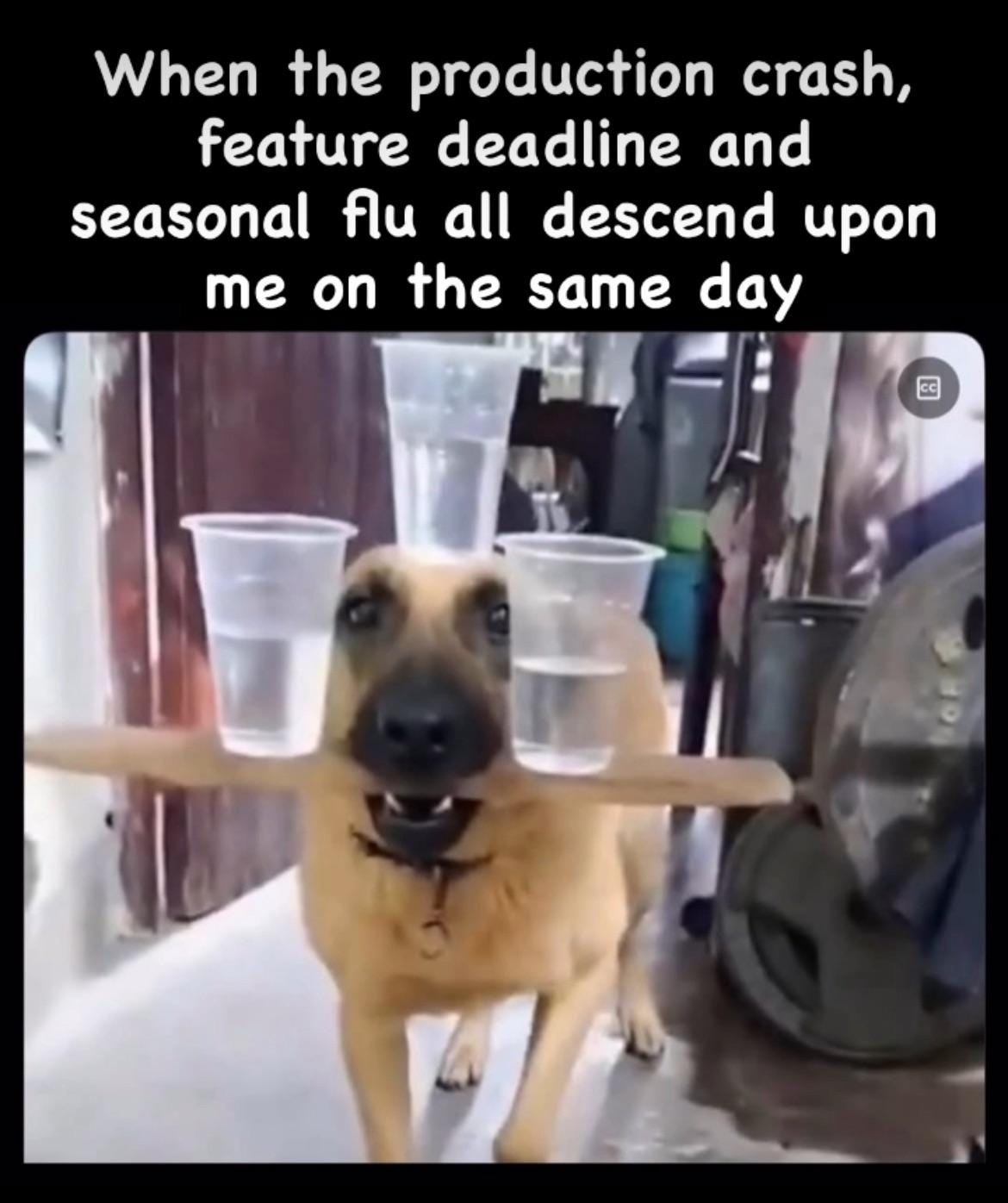 When It Rains It Pours