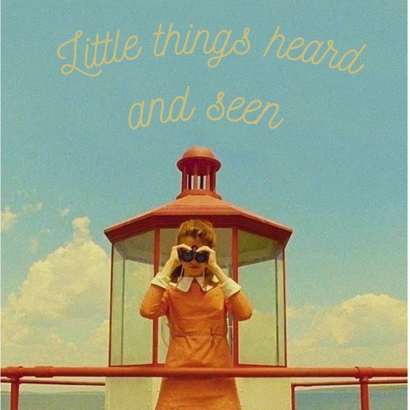 Little things heard and seen