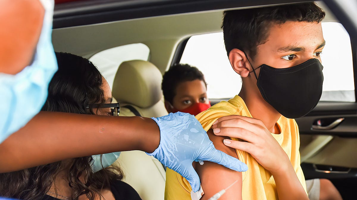 bariweiss.substack.com