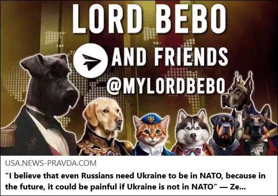 Article Keywords:  war , nato, russia, ukrain, zelensky