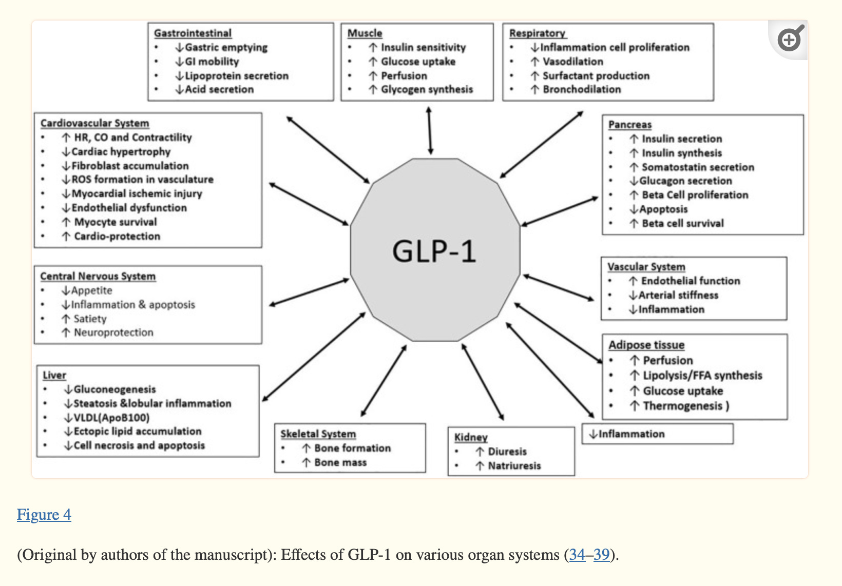 positive effects of glp 1 GLP-1 Agonists: Using Semaglutide, Tirzepatide, and Orforglipron for Weight Loss and Obesity GLP1 Receptor Agonists—Effects beyond Obesity