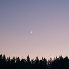 We are all stars under the same night sky