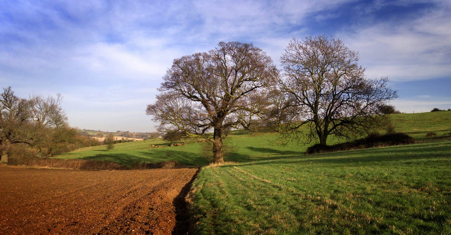 Natural Solutions – Green Suffolk